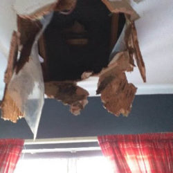 Ceiling Repairs